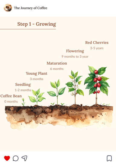 Instagram Post - Growing