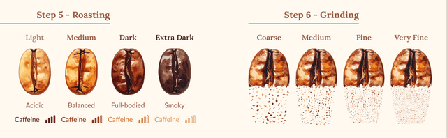 TheJourneyOfCoffee 6