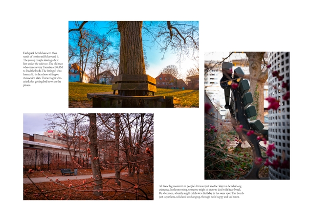 The Loneliness of Park Benches 6